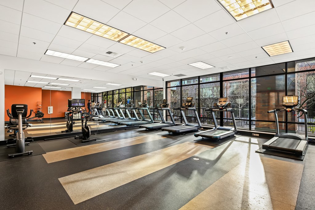 A gym with treadmills and exercise bikes.