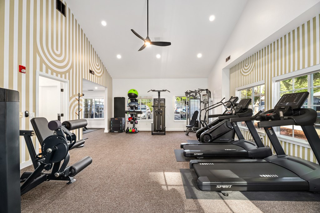 A gym with a variety of equipment including treadmills, weights, and a fan.