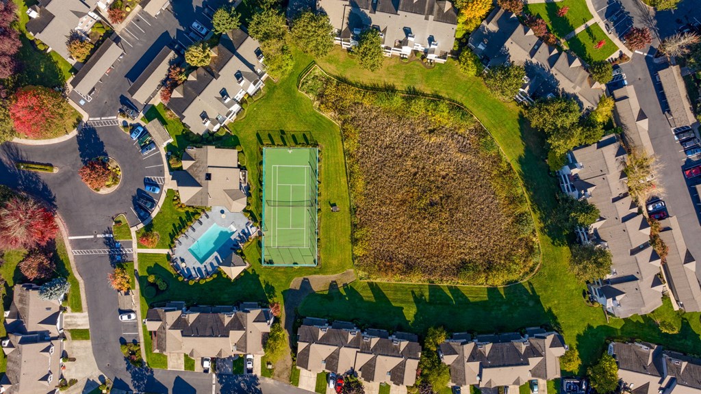 A tennis court is surrounded by houses and a small pool.