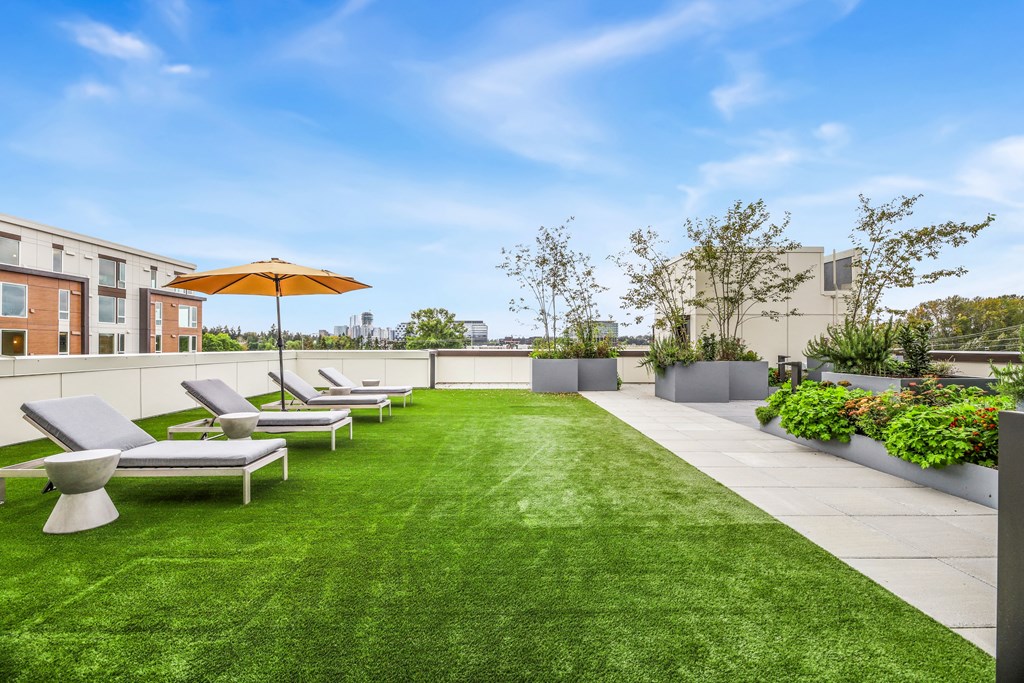 a yard with lounge chairs and an umbrella on a roof