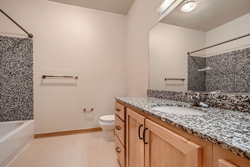 a bathroom with a sink and a toilet and a shower