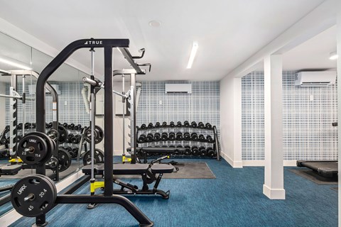 A gym with a blue carpet and a variety of equipment.