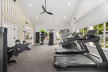 A gym with treadmills and exercise equipment.