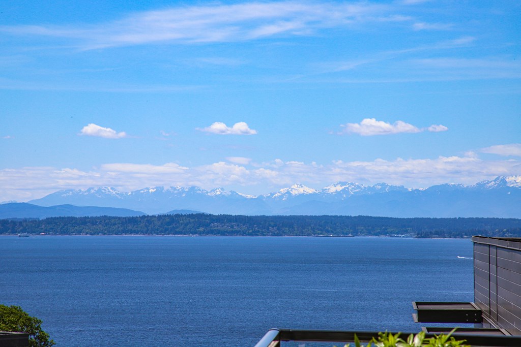 a view of a lake with mountains in the background