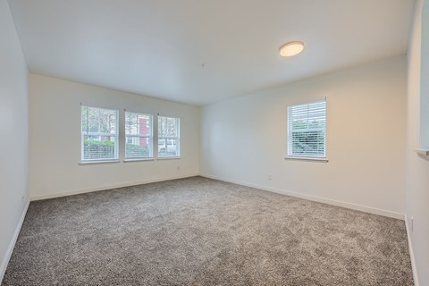 A room with a carpeted floor and a window with blinds.