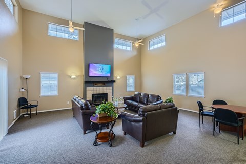 A living room with a fireplace and a television.