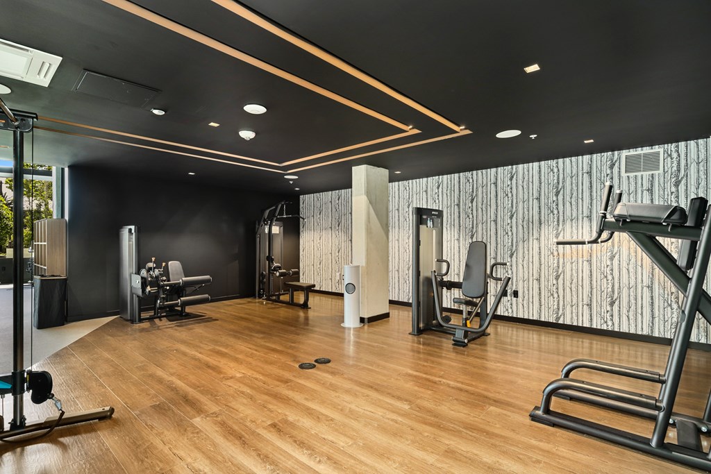 A gym with a variety of equipment including a treadmill, weights, and a bench press.