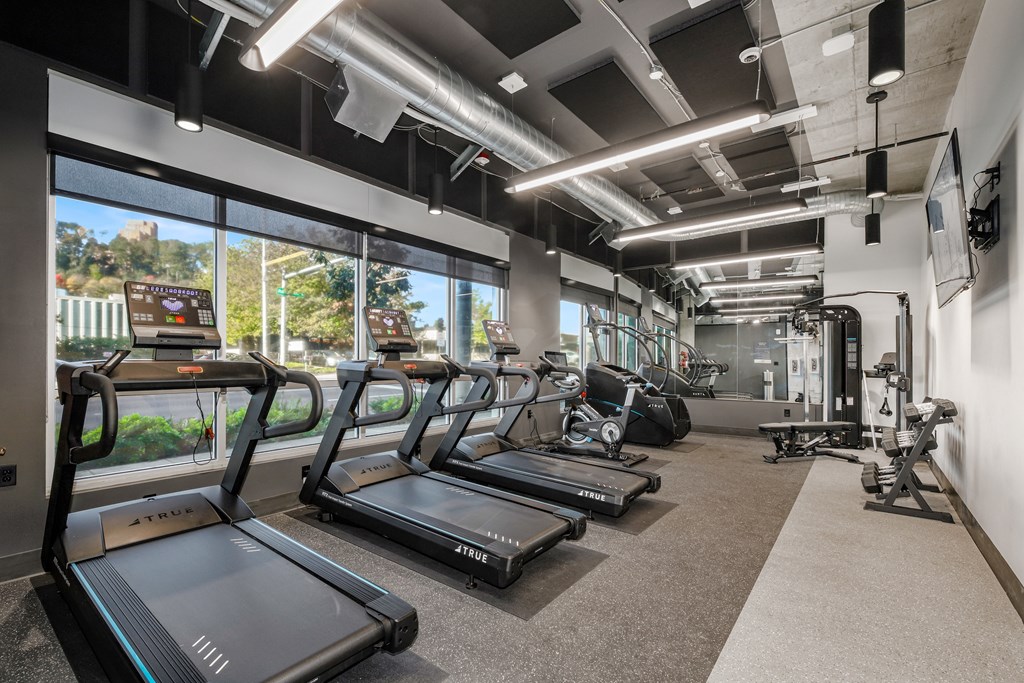 A gym with treadmills and other exercise equipment.