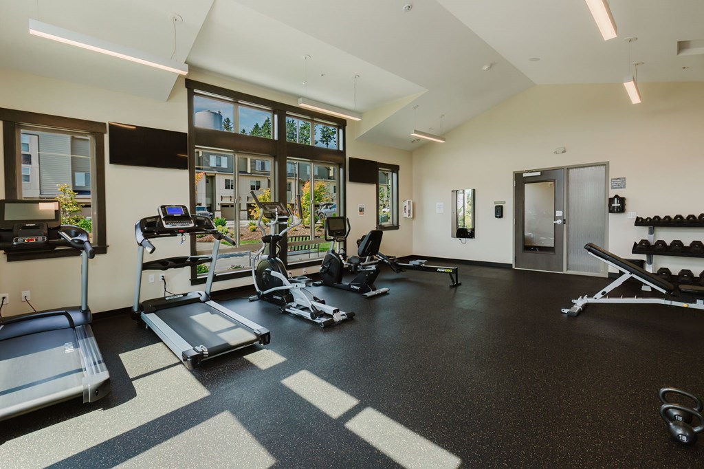 A gym with treadmills, exercise bikes, and weights.