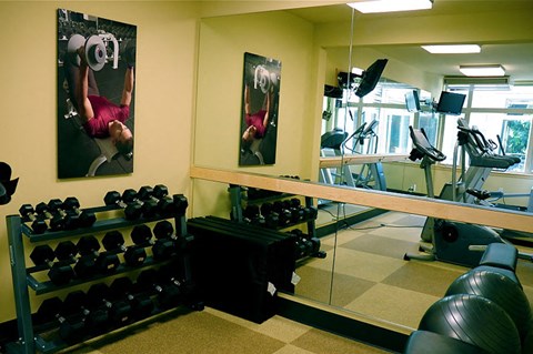 A gym with a mirror, weights, and exercise equipment.
