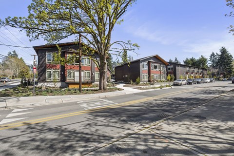 A tree in front of a building with a street in front of it.