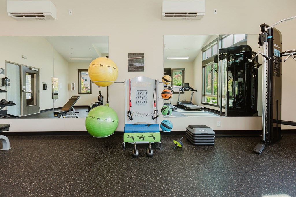 A gym with a green ball, a yellow ball, a treadmill, and a weight machine.