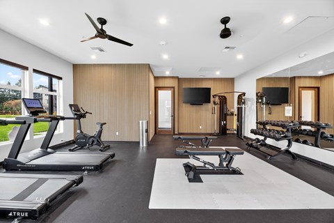 A spacious home gym with treadmills, exercise bikes, and a television.