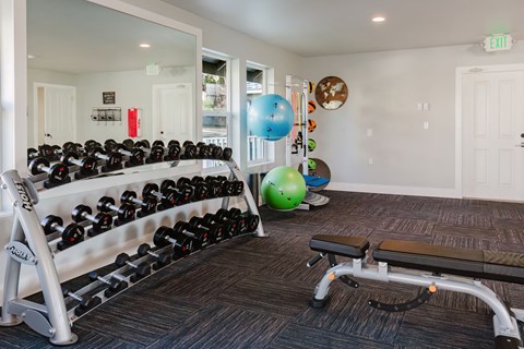 A gym with a mirror, weights, and exercise balls.