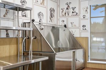 A stainless steel sink in a room with pictures of dogs on the wall.