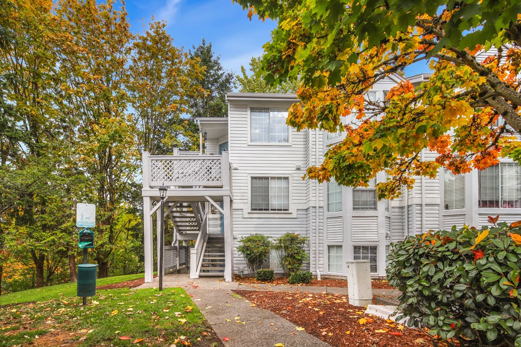 A tree with orange leaves is in front of a grey building.