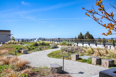 a park with a path and plants and a bridge