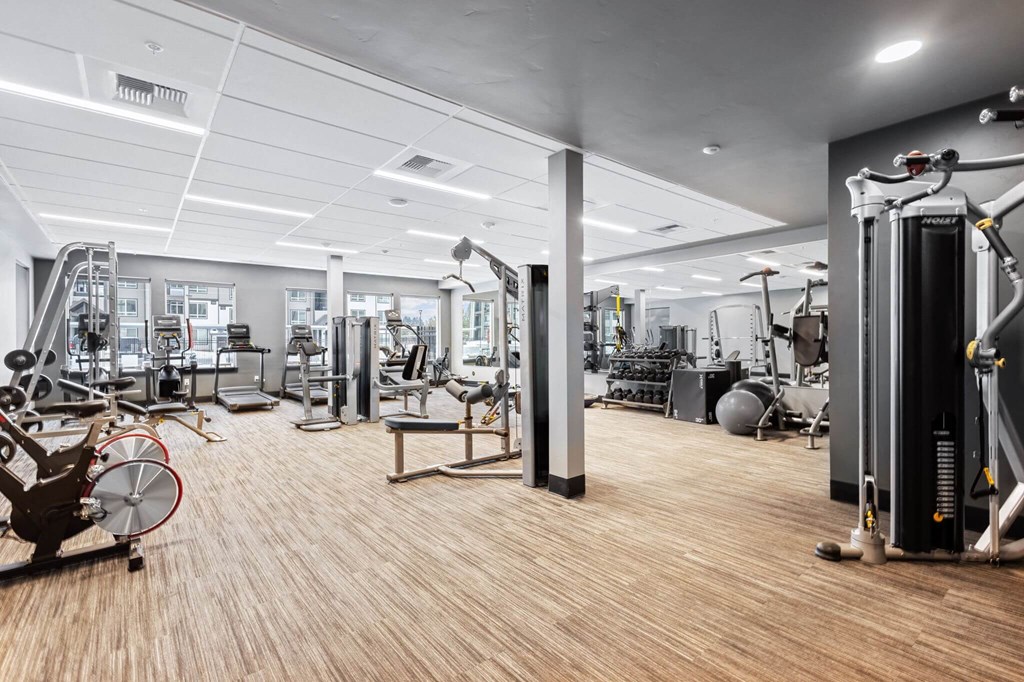 the gym is equipped with a variety of exercise equipment