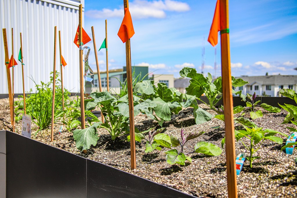 A garden with orange flags on sticks.