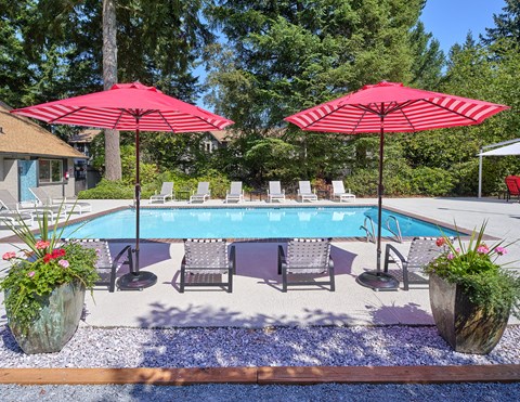 a swimming pool with pink umbrellas and chairs around it