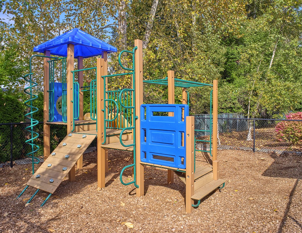 a playground with a blue playset and a wooden ladder
