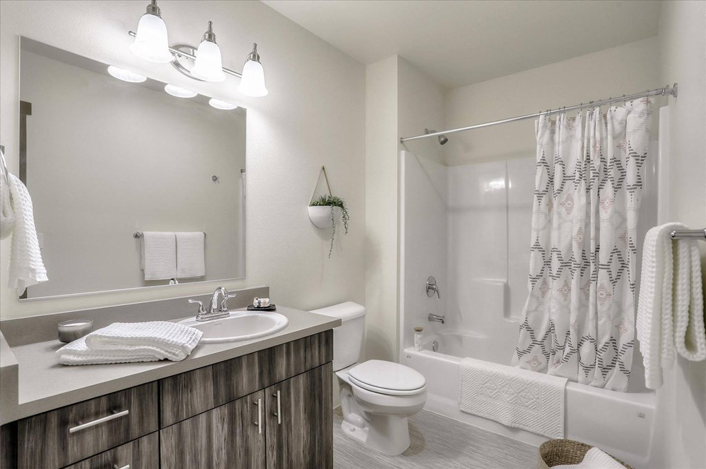 a bathroom with a shower toilet and sink and a mirror
