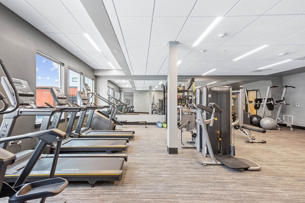 a gym with cardio equipment and weights on the floor