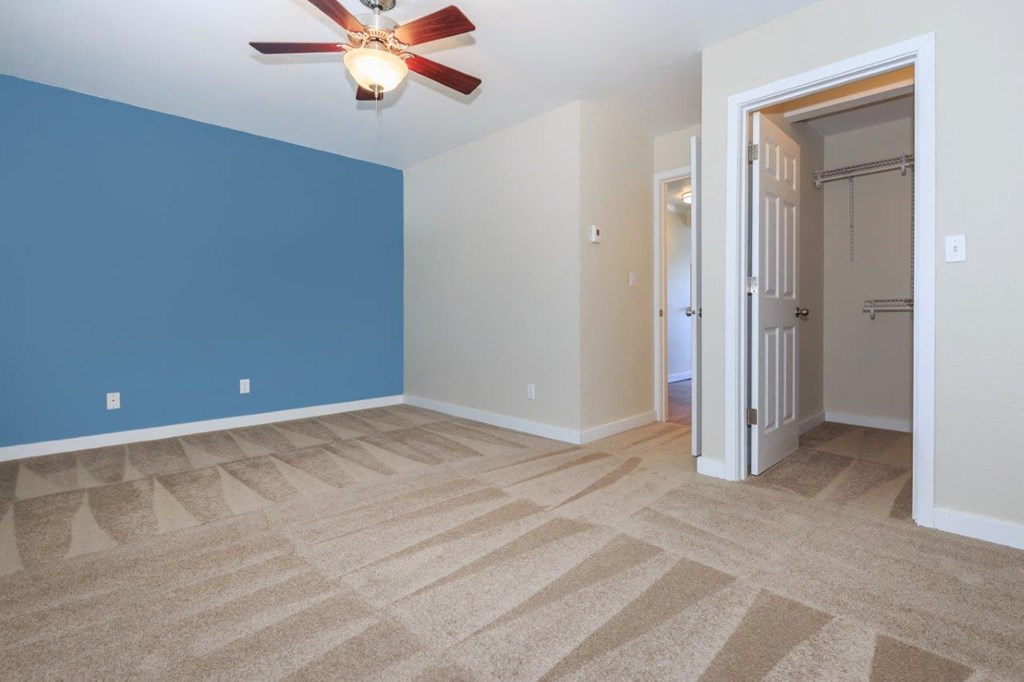 a empty living room with a ceiling fan and a blue and white wall