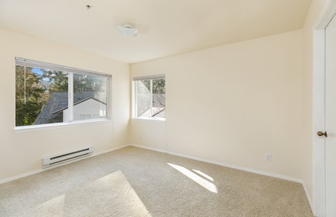 A room with a carpeted floor and two windows.