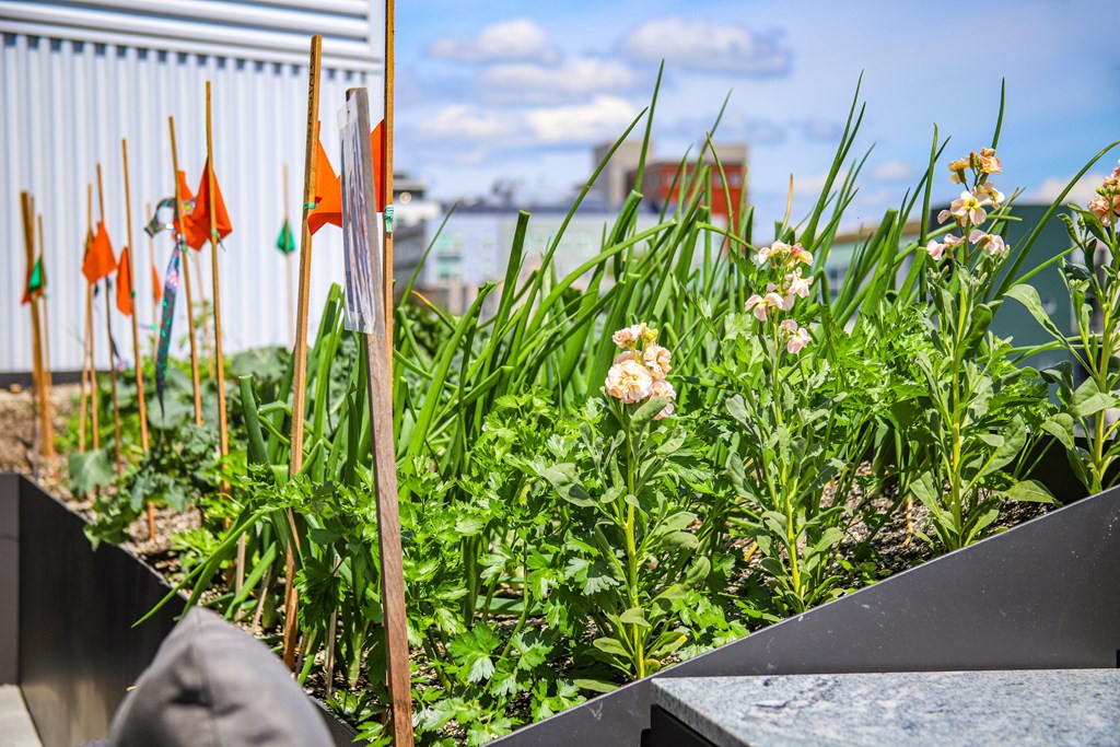A garden with orange flags and flowers in the foreground.