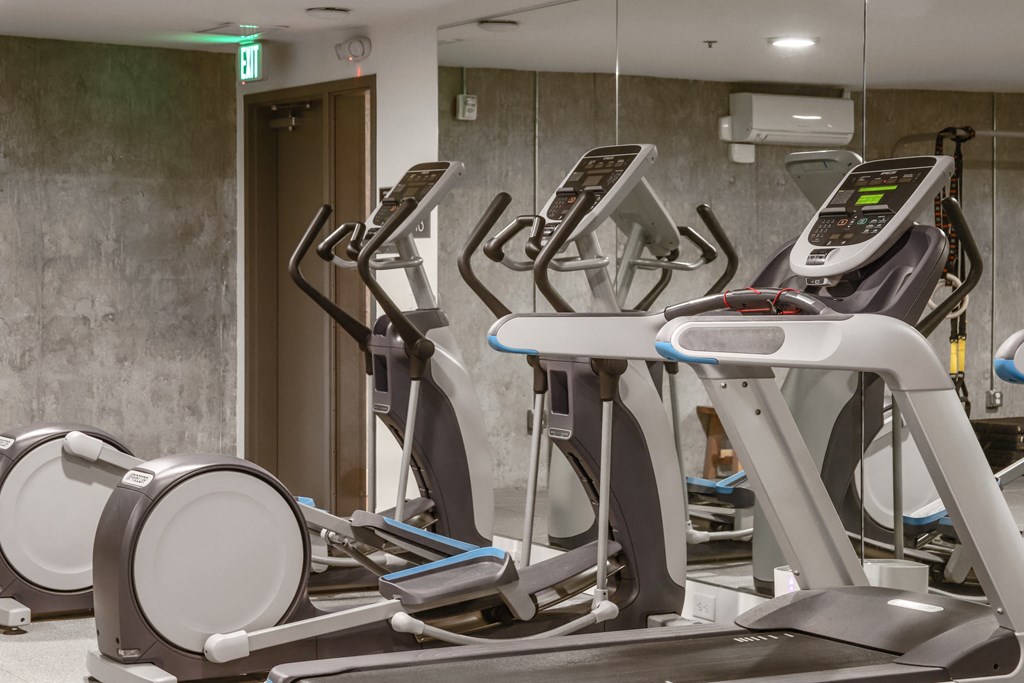 a row of treadmills and other exercise equipment in a gym