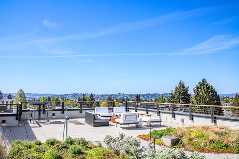 a rooftop patio with couches and chairs and a view of the city
