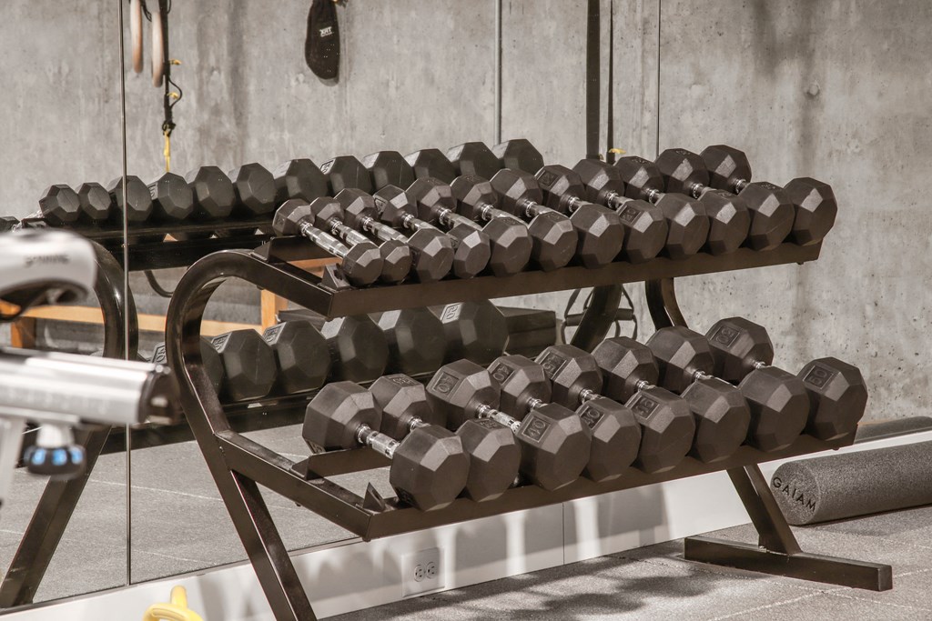 a rack of dumbbells in a gym