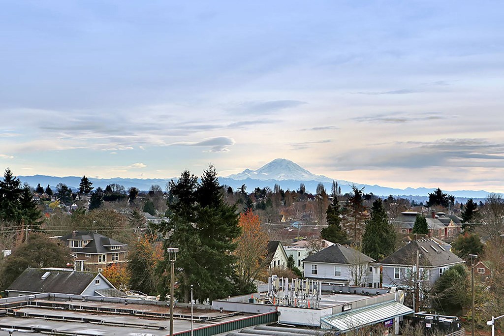 A view of a town with a mountain in the background.