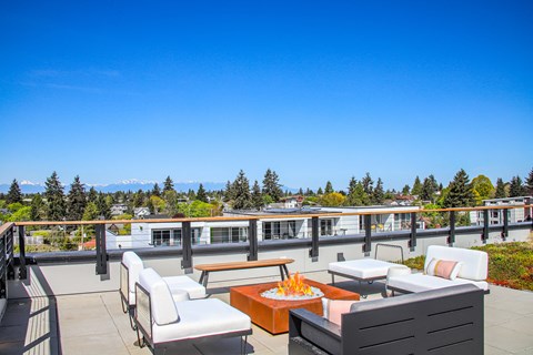 the rooftop patio has a fire pit and views of the mountains and trees