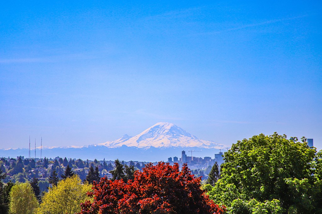 a view of mount fuji with the city in the background