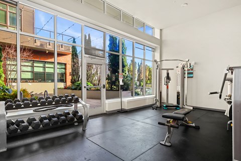 A gym with a view of a building and trees outside the window.