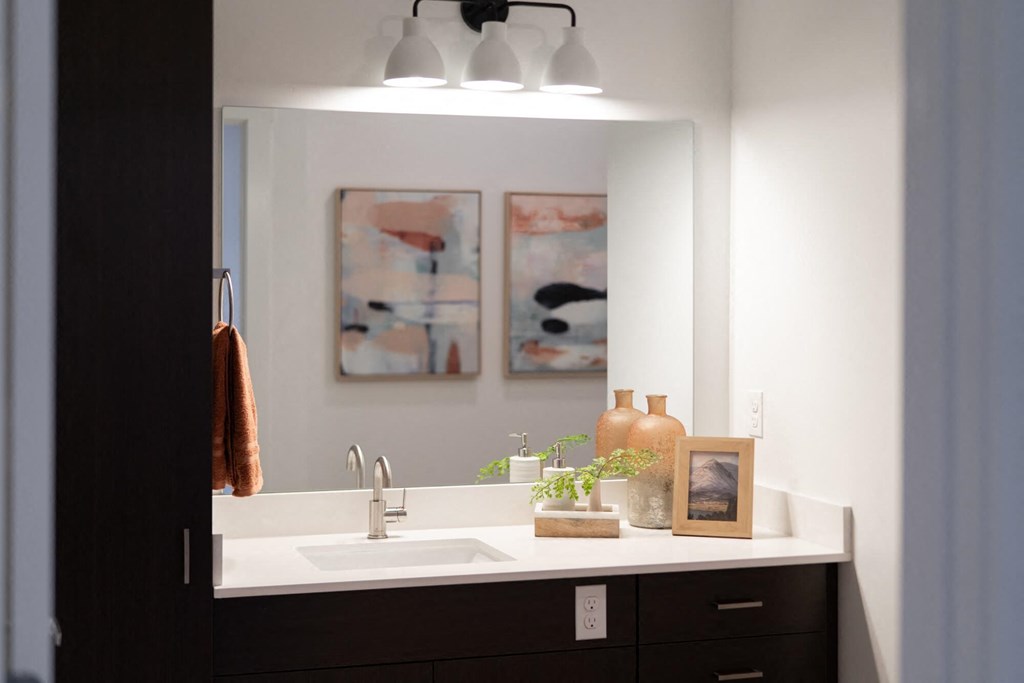 a bathroom with a sink and a mirror