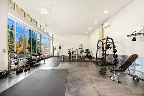A spacious gym with a variety of equipment including a bench press, dumbbells, and a squat rack.