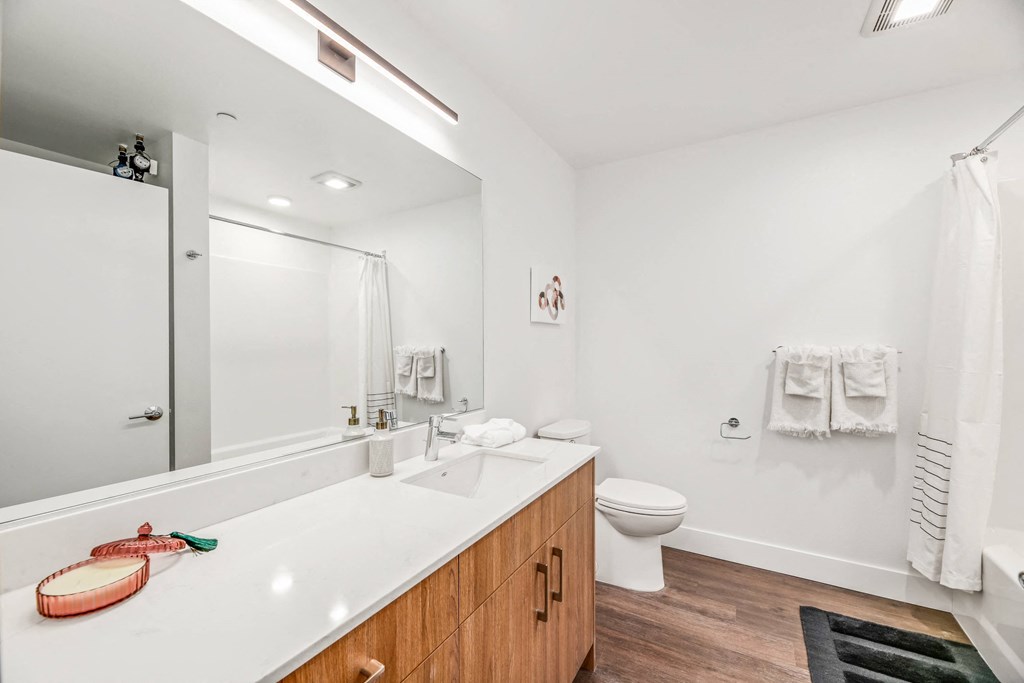 a bathroom with a large mirror and a sink and a toilet