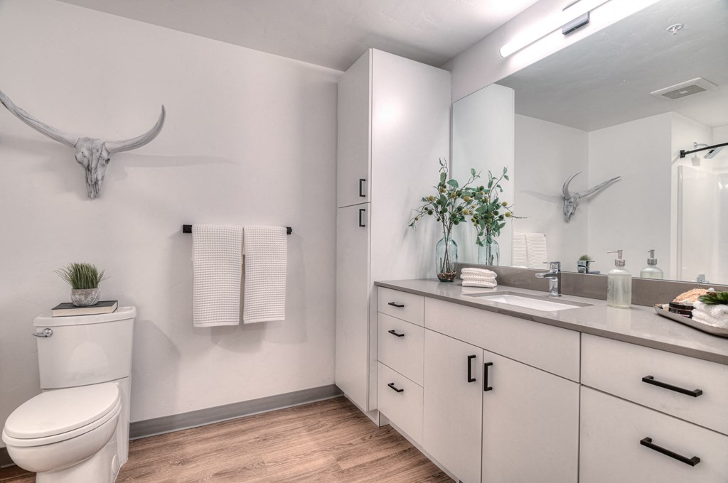 a bathroom with a toilet and a sink and a mirror
