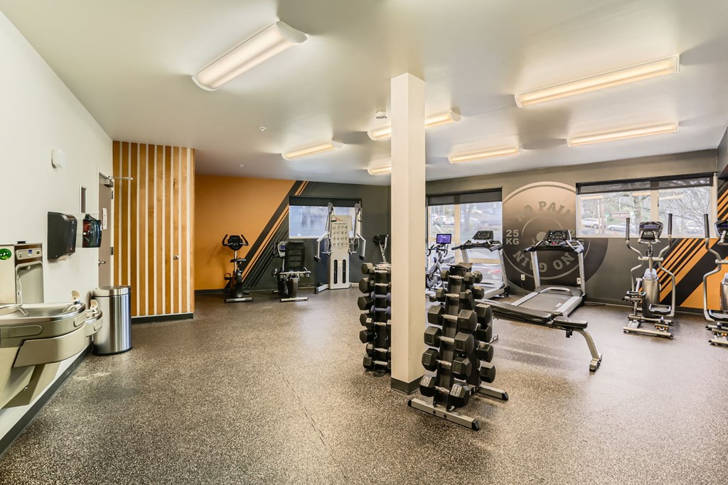 A gym with a variety of equipment including dumbbells, a treadmill, and a weight bench.