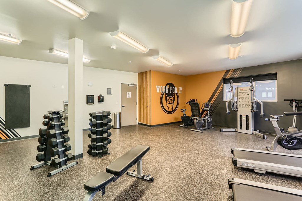 A gym with a variety of equipment including dumbbells, weight plates, a bench, and a treadmill.