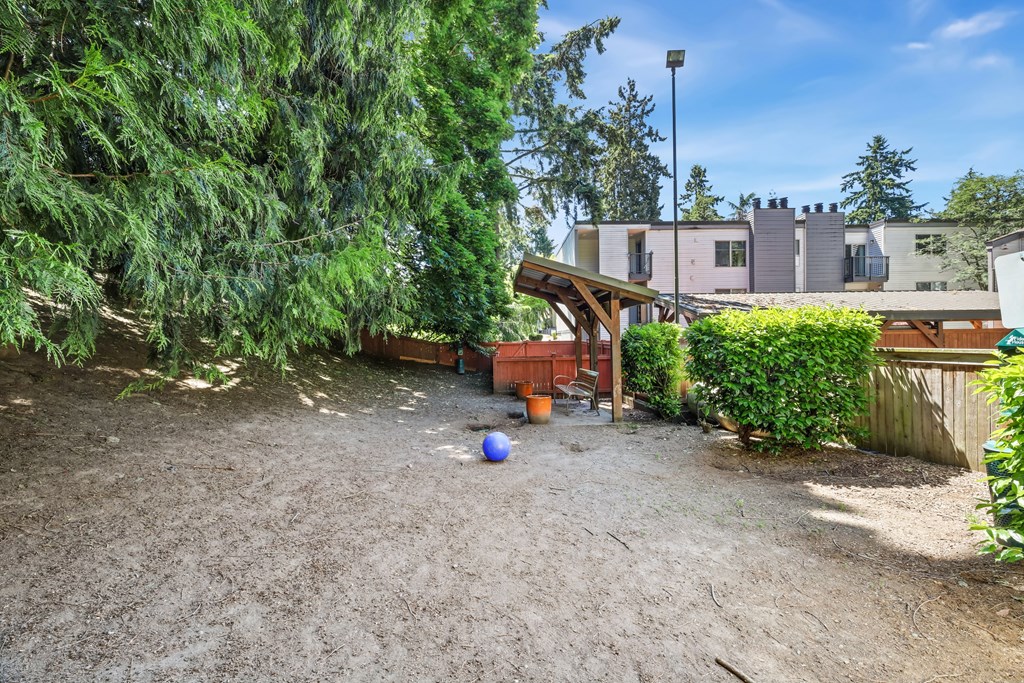 A backyard with a gravel ground and a tree.