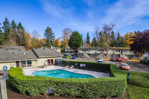A swimming pool surrounded by a green hedge in a sunny backyard.