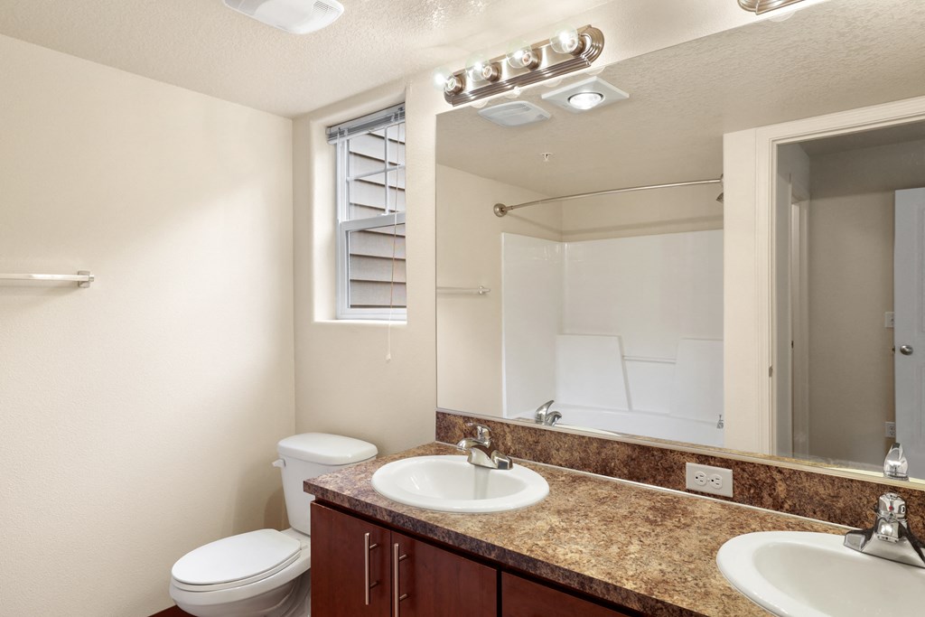 a bathroom with a sink and a mirror and a toilet