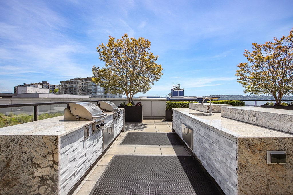the outdoor kitchen has granite counter tops and stainless steel appliances and overlooks the water