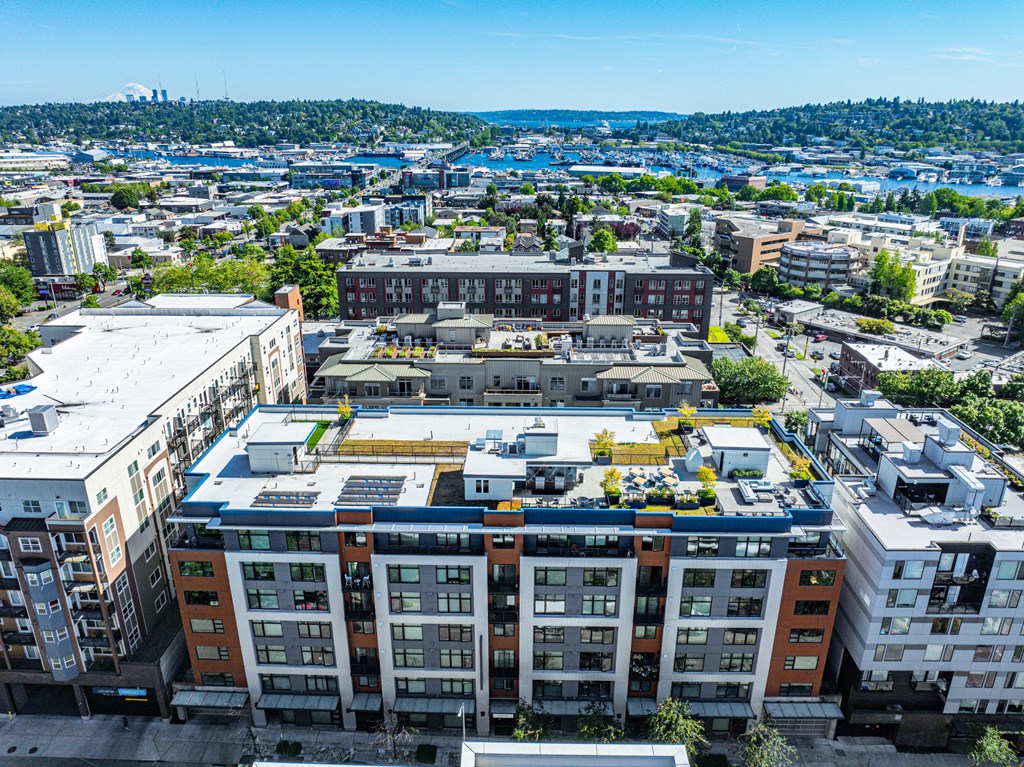 an aerial view of a city with buildings and a harbor