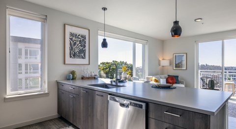 A modern kitchen with a stainless steel dishwasher and a framed picture on the wall.