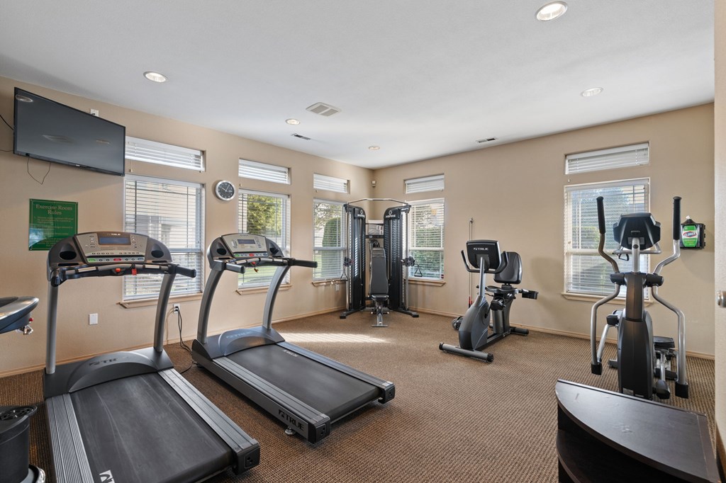 A gym with treadmills, elliptical machines, and a television.